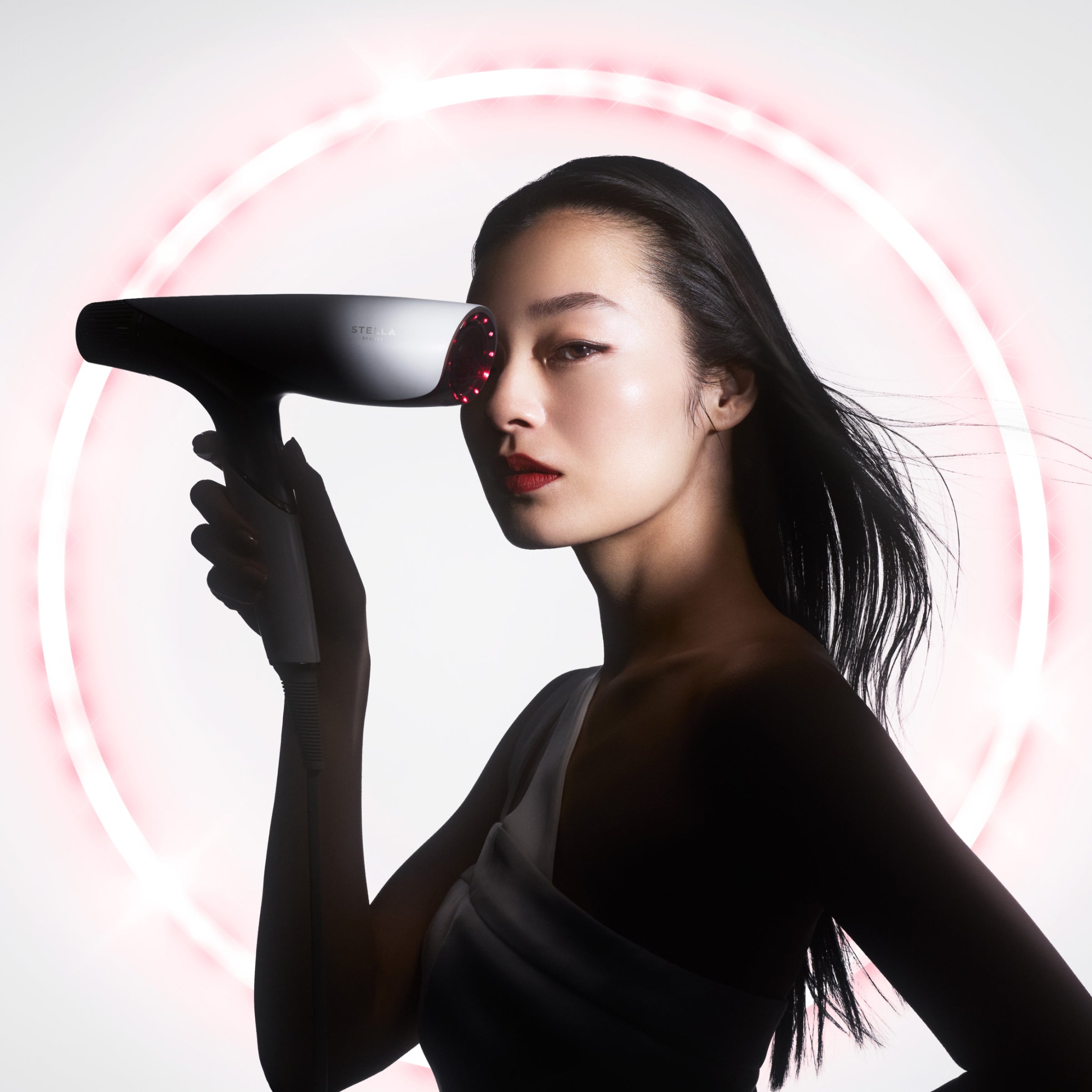 シルバー ハンドヘルド型 ヘアドライヤー Shine Rebirth Hair Dryer JEWEL（シャインリバースヘアドライヤー